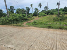 Load image into Gallery viewer, 7,500 sqm with mango trees for sale in Trinidad Bohol Philippines