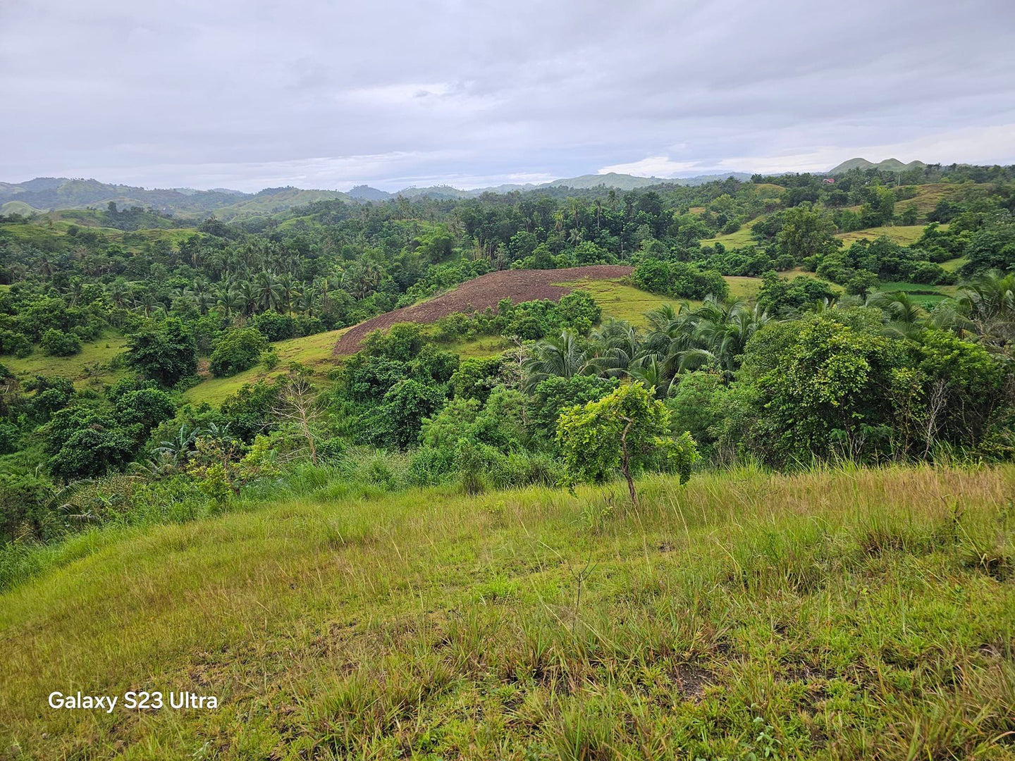 11 has lot for sale at Buenavista Bohol Philippines 150/sqm negotiable