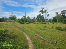 Load image into Gallery viewer, 7,500 sqm with mango trees for sale in Trinidad Bohol Philippines