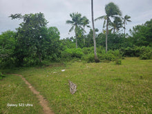 Load image into Gallery viewer, 7,500 sqm with mango trees for sale in Trinidad Bohol Philippines