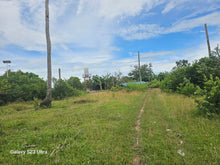 Load image into Gallery viewer, 7,500 sqm with mango trees for sale in Trinidad Bohol Philippines