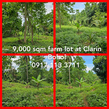 Load image into Gallery viewer, 9,000 sqm lot for sale in Clarin Bohol Philippines