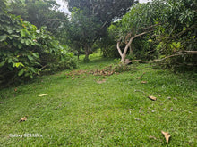 Load image into Gallery viewer, Lot for sale 7,500 sqm at Trinidad Bohol