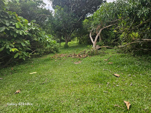 Lot for sale 7,500 sqm at Trinidad Bohol