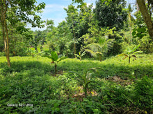 Load image into Gallery viewer, Lot for sale 7,500 sqm at Trinidad Bohol