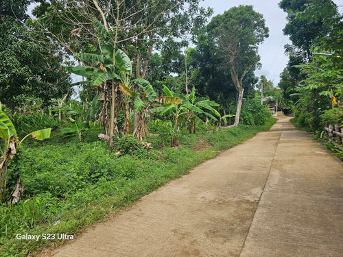 1,000 sqm near highway at Clarin Bohol