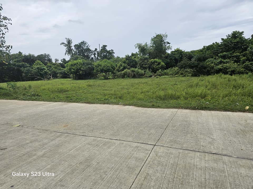 Lot for sale 7,500 sqm at Trinidad Bohol