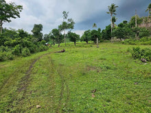 Load image into Gallery viewer, 5.2 hectares along river at Inabanga Bohol 100/sqm negotiable