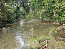 Load image into Gallery viewer, 5.2 hectares along river at Inabanga Bohol 100/sqm negotiable