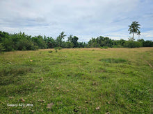 Load image into Gallery viewer, 15 hectares river front lot for sale at Trinidad Bohol