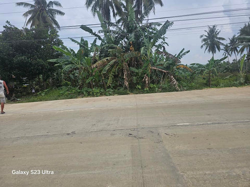 150 sqm highway lot for sale at Carmen Bohol