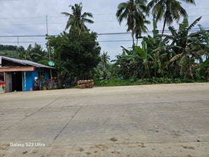 150 sqm highway lot for sale at Carmen Bohol