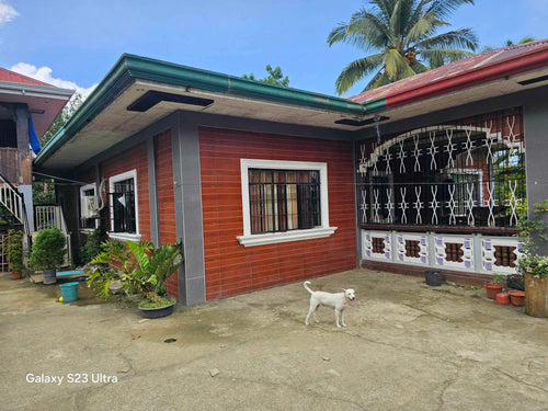 Lot for sale with house, piggery & coconut trees at Sagbayan Bohol