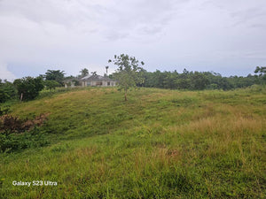 Almost 9 has lot for sale w/ unfinish house & ricefield at Trinidad Bohol