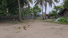 Load image into Gallery viewer, 9,653 sqm beach lot for sale at Bantayan Island, Cebu