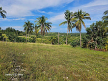 Load image into Gallery viewer, 6,100 sqm seaview lot for sale at Argao Cebu Philippines