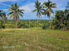 Load image into Gallery viewer, 6,100 sqm seaview lot for sale at Argao Cebu Philippines