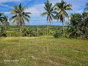 6,100 sqm seaview lot for sale at Argao Cebu Philippines