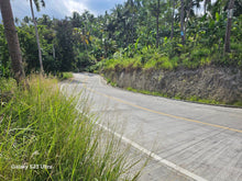 Load image into Gallery viewer, 6,100 sqm seaview lot for sale at Argao Cebu Philippines