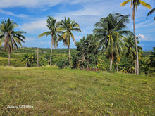 Load image into Gallery viewer, 6,100 sqm seaview lot for sale at Argao Cebu Philippines