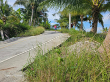 Load image into Gallery viewer, 6,100 sqm seaview lot for sale at Argao Cebu Philippines