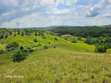 Load image into Gallery viewer, 14 Has rolling terrain at Talibon Bohol 60/sqm