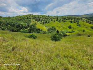 14 Has rolling terrain at Talibon Bohol 60/sqm