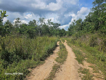 Load image into Gallery viewer, 40 has farm lot at Talibon Bohol 300/sqm