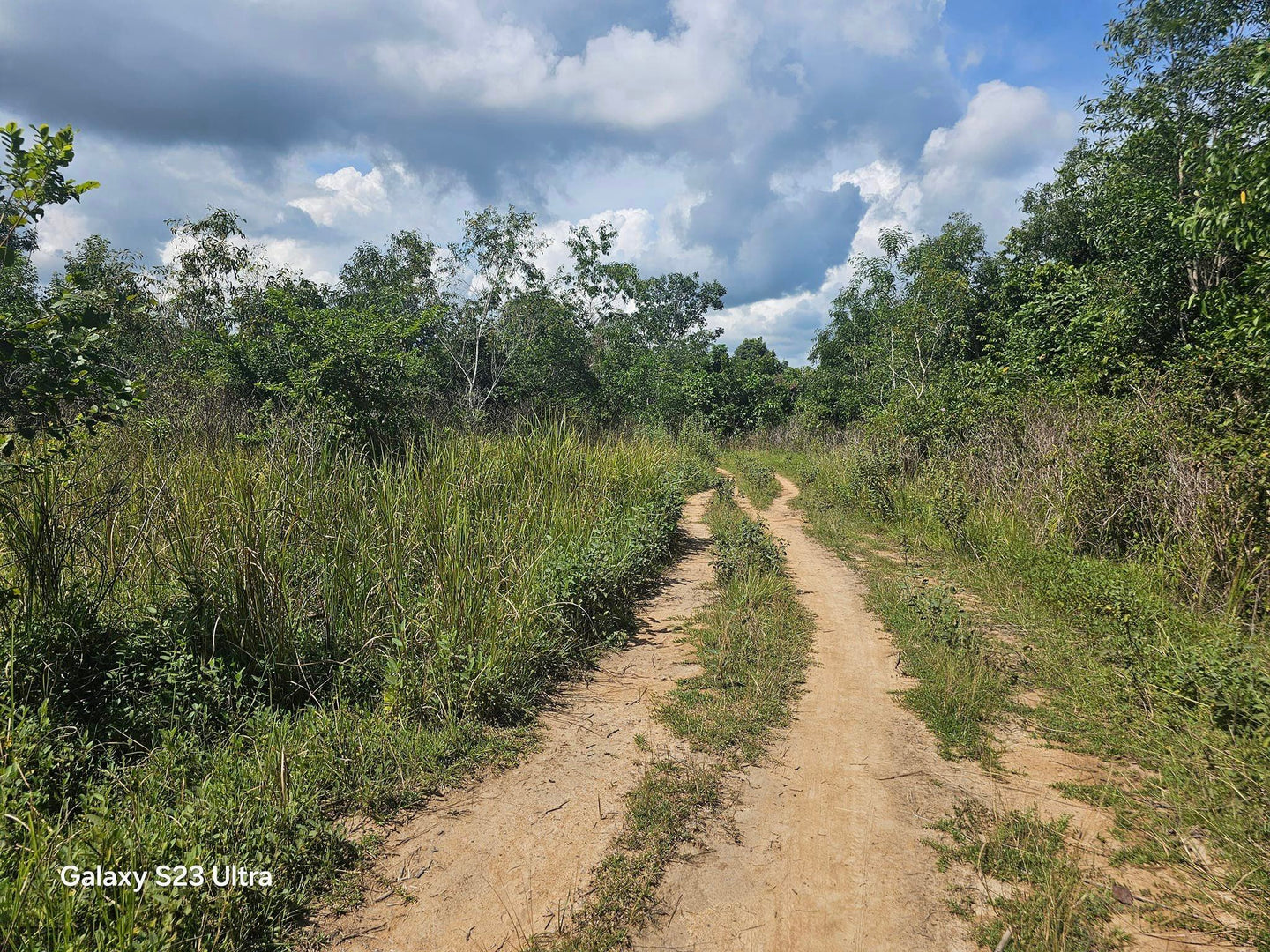 40 has farm lot at Talibon Bohol 300/sqm