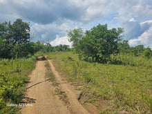 Load image into Gallery viewer, 40 has farm lot at Talibon Bohol 300/sqm