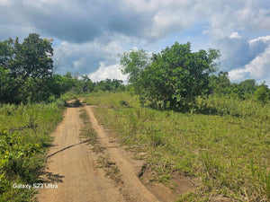 40 has farm lot at Talibon Bohol 300/sqm