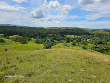 Load image into Gallery viewer, 14 Has rolling terrain at Talibon Bohol 60/sqm