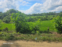 Load image into Gallery viewer, 40 has farm lot at Talibon Bohol 300/sqm