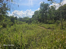 Load image into Gallery viewer, 40 has farm lot at Talibon Bohol 300/sqm