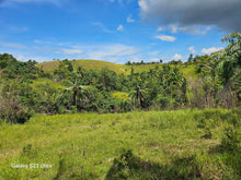 Load image into Gallery viewer, 14 Has rolling terrain at Talibon Bohol 60/sqm