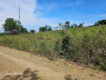 Load image into Gallery viewer, 40 has farm lot at Talibon Bohol 300/sqm