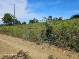 40 has farm lot at Talibon Bohol 300/sqm