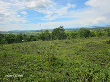 Load image into Gallery viewer, 1,000 sqm seaview lot for sale at Talibon Bohol 800k net