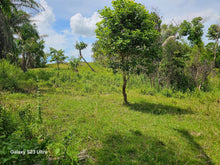 Load image into Gallery viewer, 14 Has rolling terrain at Talibon Bohol 60/sqm