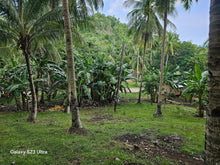 Load image into Gallery viewer, 4,408 sqm lot for sale with coconut trees at Anda Bohol