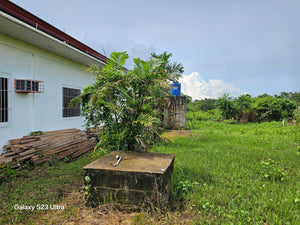 3 has with 3bedroom house at Carmen Bohol