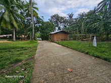 Load image into Gallery viewer, 4,408 sqm lot for sale with coconut trees at Anda Bohol