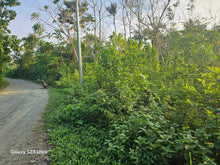 Load image into Gallery viewer, lot for sale 1,385 sqm near beaches at Anda Bohol Philippines