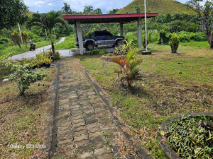 3 has with 3bedroom house at Carmen Bohol