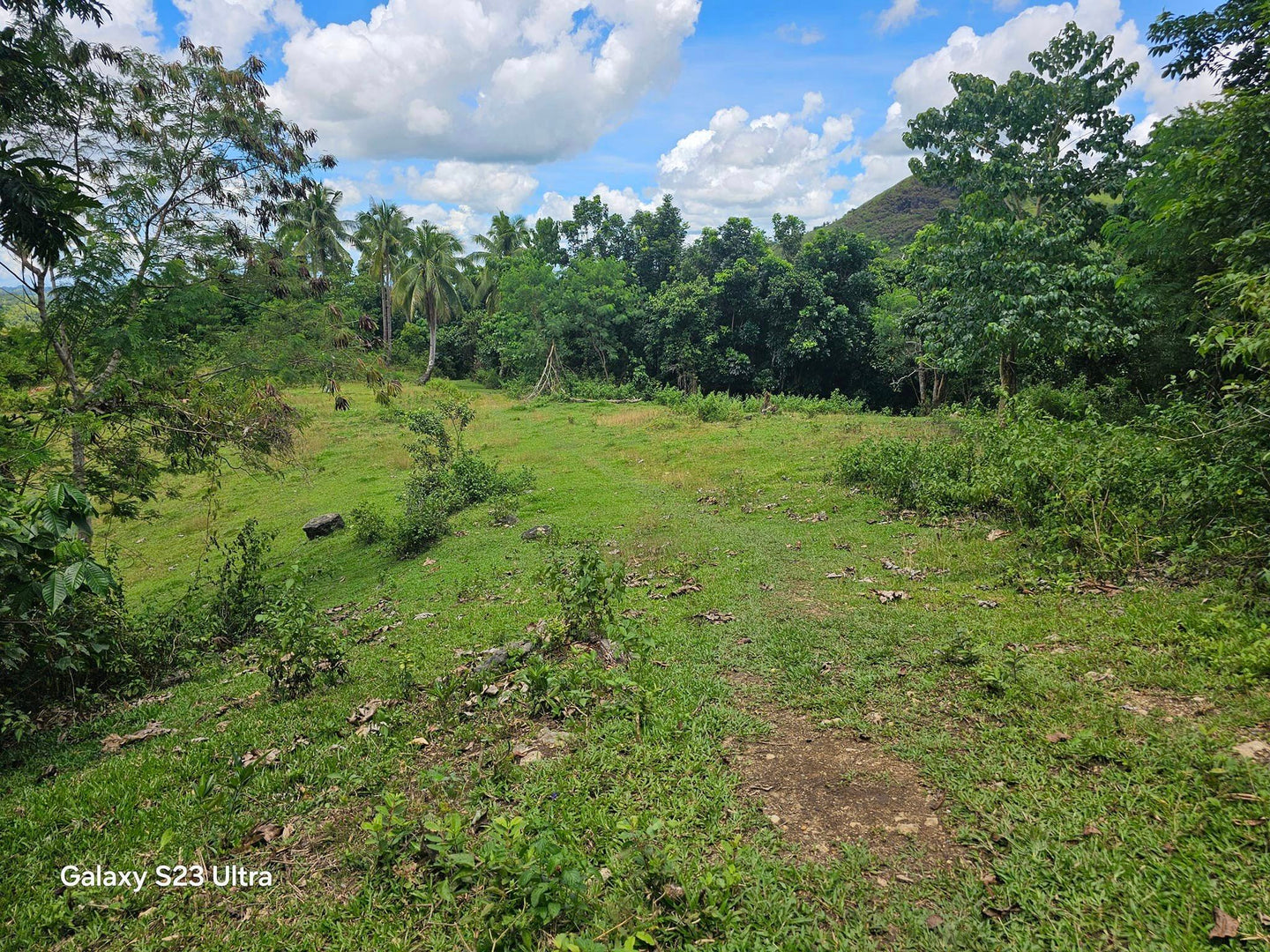 14 has lot for sale at Carmen Bohol Philippines