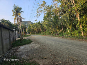 lot for sale 1,385 sqm near beaches at Anda Bohol Philippines