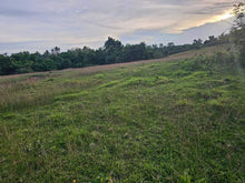 Load image into Gallery viewer, 4.1 has for sale river front at Ubay Bohol Philippines