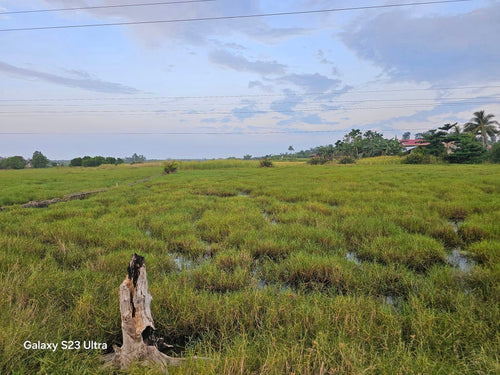 4,906 sqm clean title near Highway at Clarin Bohol Philippines