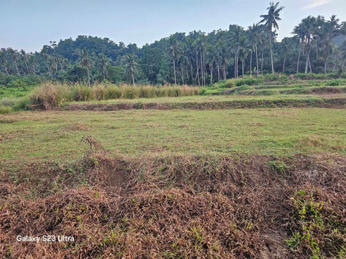 11,474 sqm clean title near water falls at Clarin Bohol