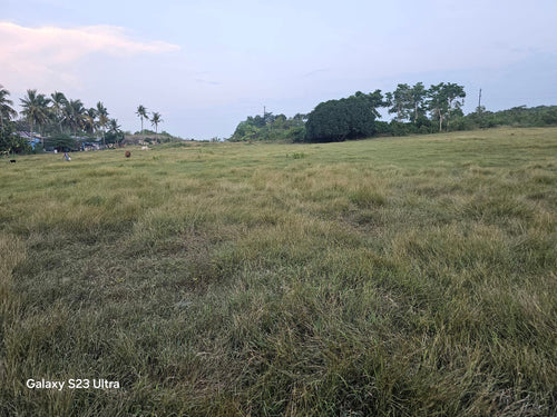 20 hectares title near City Hall at Bogo City